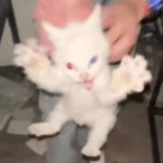 АААААААААААААААА