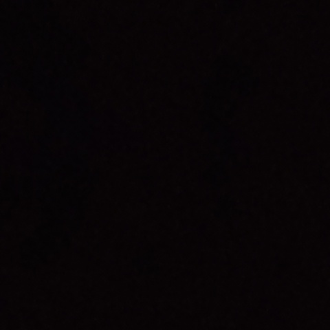 Дима Горохов